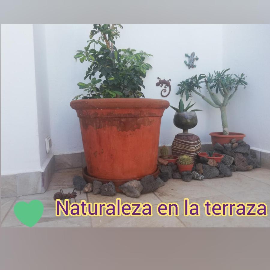 Love For Lanzarote Holidays House Плая Бланка Екстериор снимка